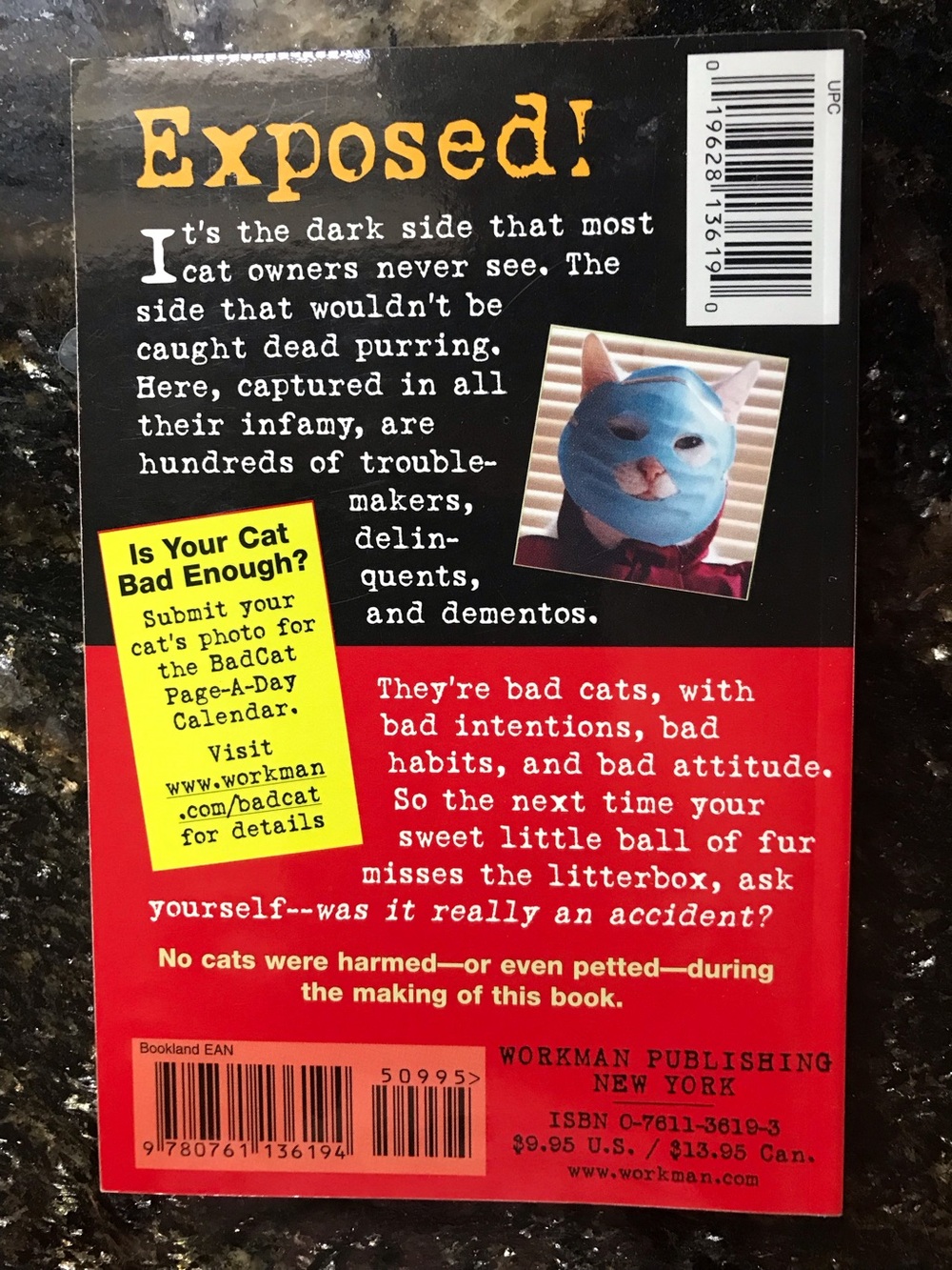 Bad Cat Book - Picture 2 of 10